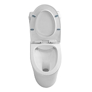 Унитаз моноблок Azario Bais AZ-5003 цвет Белый с сиденьем Микролифт-7