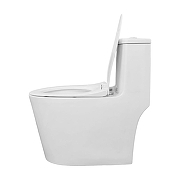 Унитаз моноблок Azario Bais AZ-5003 цвет Белый с сиденьем Микролифт-12