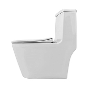 Унитаз моноблок Azario Bais AZ-5003 цвет Белый с сиденьем Микролифт-13