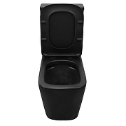 Унитаз компакт Azario Black King AZ-8303-D цвет Черный матовый с бачком и сиденьем Микролифт-4