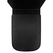 Унитаз компакт Azario Black King AZ-8303-D цвет Черный матовый с бачком и сиденьем Микролифт-10
