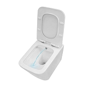 Унитаз биде Azario Dezi White AZ-W05-SWBD подвесной цвет Белый с сиденьем Микролифт-6