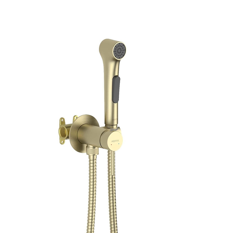 Гигиенический душ со смесителем Aquatek Европа AQ1020BG 