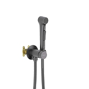 Гигиенический душ со смесителем Aquatek Европа AQ1020BGM цвет Оружейная сталь