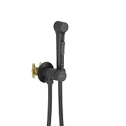 Гигиенический душ со смесителем Aquatek Европа AQ1020MB цвет Черный матовый