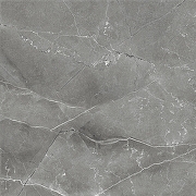 Керамогранит Arcadia Ceramica Pulpis Nero CR6011-A серый карвинг 60х60 см