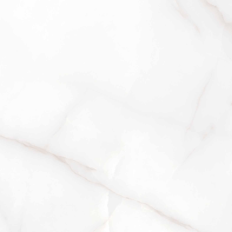 Керамогранит Arcadia Ceramica Feather Onyx RT6004-A белый матовый 