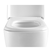 Унитаз Black&White W-610 610W00 подвесной с сиденьем Микролифт-10