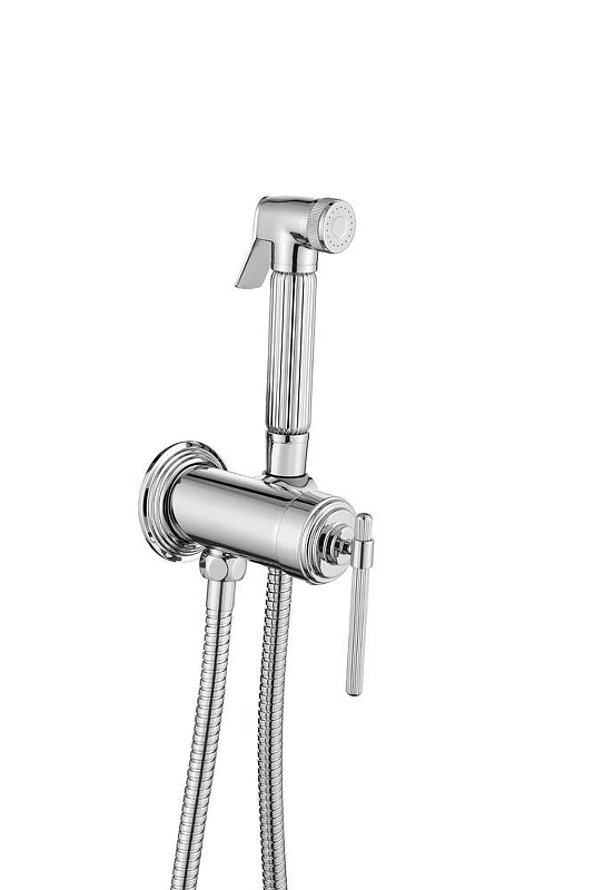 Гигиенический душ со смесителем Boheme Eterna 177-CR 