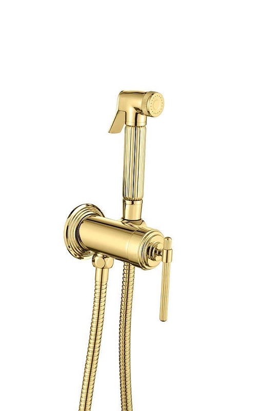 Гигиенический душ со смесителем Boheme Eterna 177-G 