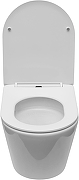 Унитаз Aquanet Atago 3.0 Tornado 347999 подвесной цвет Белый с сиденьем Микролифт-5