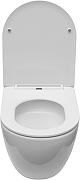 Унитаз Aquanet Cetus 3.0 Tornado 348001 подвесной цвет Белый с сиденьем Микролифт-5