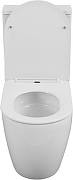 Унитаз компакт Aquanet Cetus 3.0 Tornado 348004 цвет Белый без бачка с сиденьем Микролифт-5