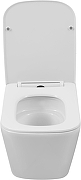 Унитаз Aquanet Tavr 3.0 Tornado 348007 подвесной цвет Белый с сиденьем Микролифт-6