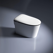 Унитаз биде RGW SW-32 80420132-01 приставной цвет Белый с сиденьем Микролифт-1