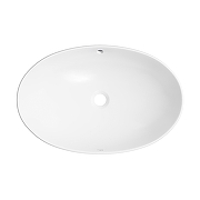 Раковина-чаша Wellsee Bliss 63 32820100S цвет Белый глянцевый-2