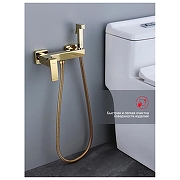Гигиенический душ со смесителем Raglo R01.51.23 цвет Золото-2