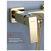 Гигиенический душ со смесителем Raglo R01.51.23 цвет Золото-3