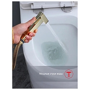 Гигиенический душ со смесителем Raglo R01.51.23 цвет Золото-4