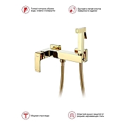 Гигиенический душ со смесителем Raglo R01.51.23 цвет Золото-9
