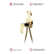 Гигиенический душ со смесителем Raglo R01.52.23 цвет Золото-9