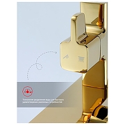 Душевая система Raglo R02.24.23 цвет Золото-4