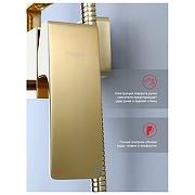 Душевая система Raglo R02.24.23 цвет Золото-5