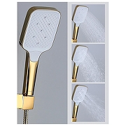 Душевая система Raglo R02.24.23 цвет Золото-6