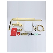 Душевая система Raglo R02.24.23 цвет Золото-9