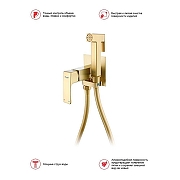 Гигиенический душ со смесителем Raglo R02.54.03 цвет Золото матовое-10