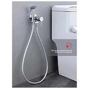 Гигиенический душ со смесителем Raglo R20.54 цвет Хром-2