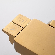 Душевая система Shevanik S4226G цвет Золотой сатин-4