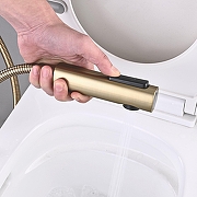 Гигиенический душ со смесителем Shevanik S6105G-1 цвет Золотой сатин-1