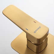 Душевая система Shevanik S9935G цвет Золотой сатин-2