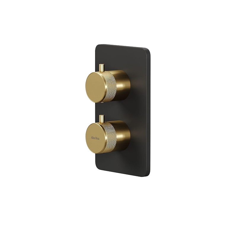 Смеситель для душа Allen Brau Priority 5.31213-31GB с термостатом 