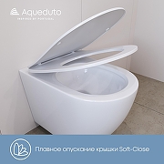 Унитаз Aqueduto Ovo Tornado OVOT2110 подвесной цвет Белый глянцевый с сиденьем Микролифт-5