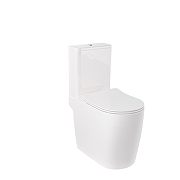 Унитаз Kludi Resa R 23WCB0643 цвет Белый глянцевый без бачка и сиденья