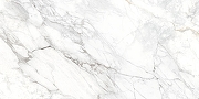 Керамогранит Delacora  Багамы Каррара / Bahamas Carrara D120242M Матовый 60х120 см-3