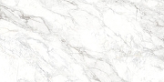 Керамогранит Delacora  Багамы Каррара / Bahamas Carrara D120242M Матовый 60х120 см-5