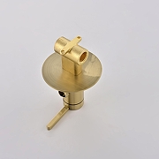 Гигиенический душ со смесителем Rose R235G цвет Золотой сатин-14