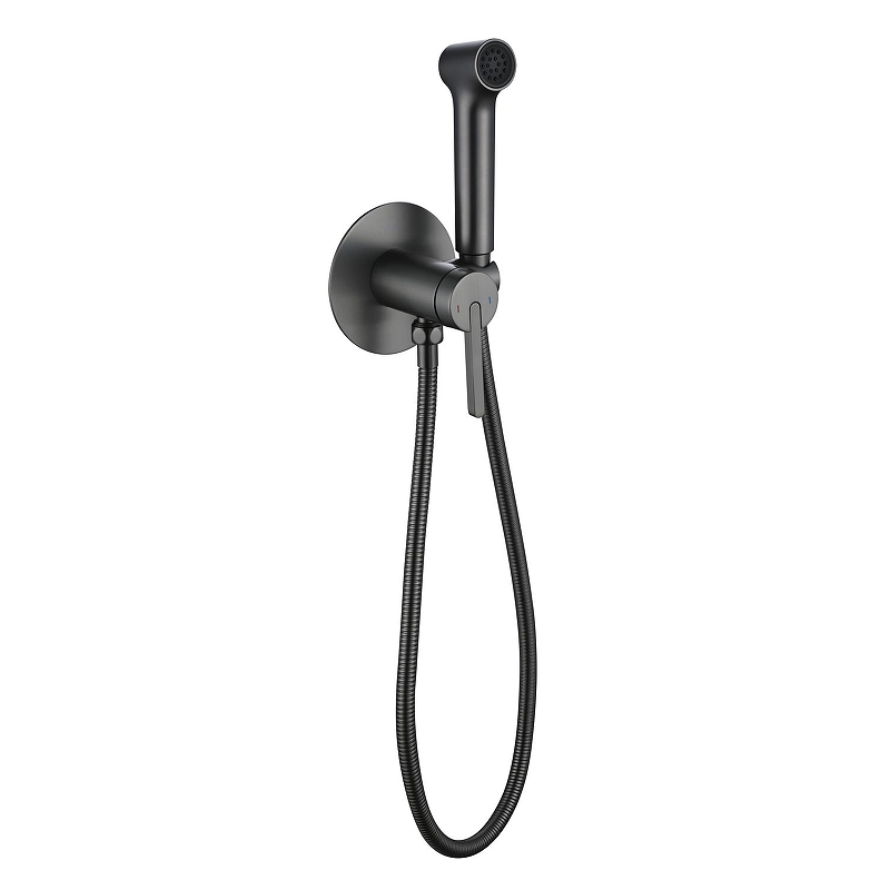 Гигиенический душ со смесителем Rose R235T 
