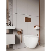 Клавиша смыва Knotlor Сфера BIS102RB цвет Бронза-1
