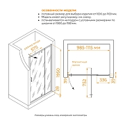 Душевая дверь RGW Passage PA-008 100 350800801-21 профиль Хром стекло матовое-сатинат-6
