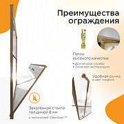 Душевая дверь Radomir Дарья BO 100 L 1-63-4-1-0-355 профиль Золото матовое стекло прозрачное-1
