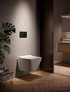 Кнопка смыва для инсталляции Tece Spring square S240852 цвет Черный сатинированный-1