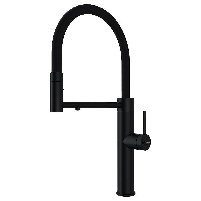 Смеситель для кухни Paulmark Ganymede Ga213199-AN 
