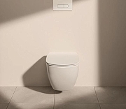 Унитаз подвесной Ideal Standard IdealMood T466501 цвет Белый с сиденьем Микролифт-1