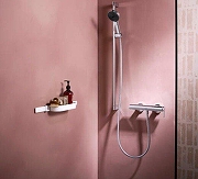 Корзина для аксессуаров Hansgrohe WallStoris 27913700 цвет белый матовый-1