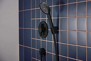 Ручной душ Hansgrohe Activera Select S 28033670 цвет Черный матовый-1