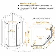 Душевой уголок RGW Passage (Пассаж) PA-86 100х100 38088600-31N профиль Хром стекло тонированное-6